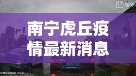 石家庄限号2021最新限号12月(石家庄限号最新一览表)