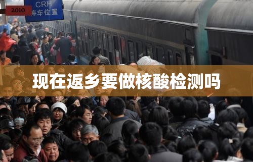 【现在返乡要做核酸检测吗,现在可以返乡回家吗】 【现在返乡要做核酸检测吗,现在可以返乡回家吗】