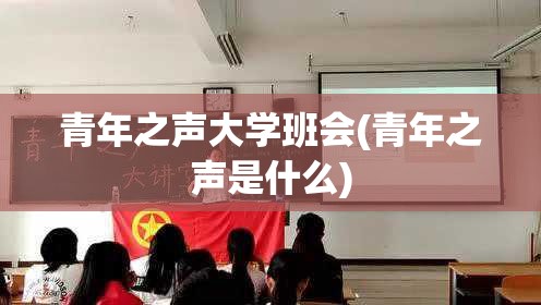 青年之声大学班会(青年之声是什么)