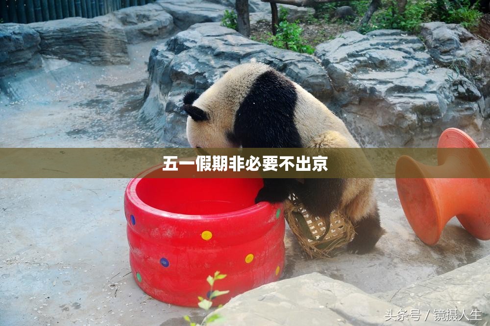 五一假期非必要不出京/北京非必要不出京是什么意思