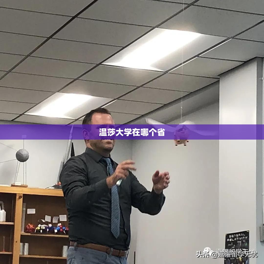 温莎大学在哪个省/温莎大学世界排名 温莎大学在哪个省/温莎大学世界排名
