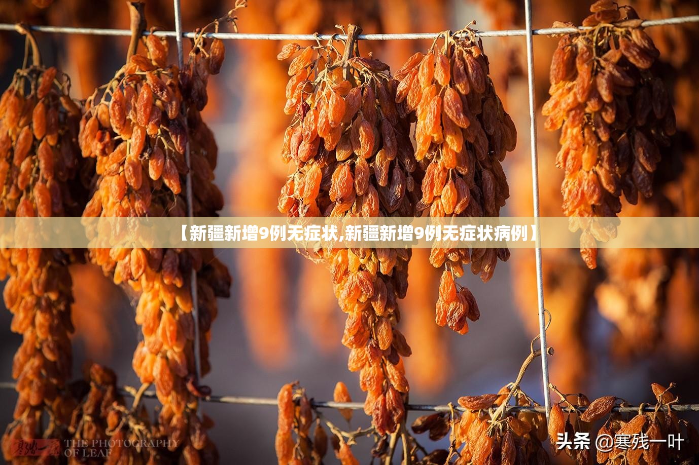 【新疆新增9例无症状,新疆新增9例无症状病例】 【新疆新增9例无症状,新疆新增9例无症状病例】