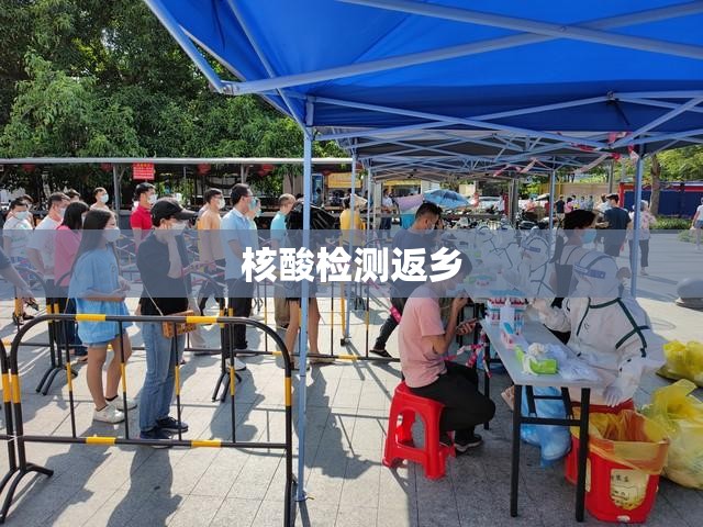 【核酸检测返乡,返乡人群】 【核酸检测返乡,返乡人群】