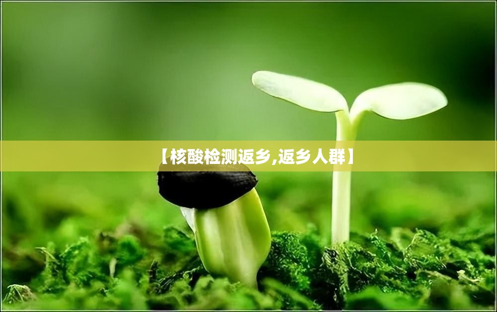 【核酸检测返乡,返乡人群】 【核酸检测返乡,返乡人群】