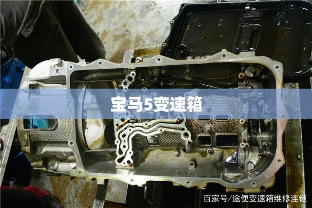 宝马5变速箱(宝马5变速箱过热故障) 宝马5变速箱(宝马5变速箱过热故障)