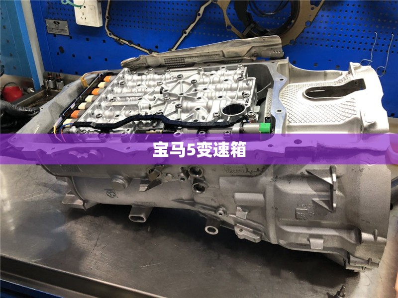 宝马5变速箱(宝马5变速箱过热故障) 宝马5变速箱(宝马5变速箱过热故障)