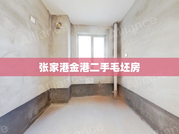 张家港金港二手毛坯房(张家港金港镇二手房)