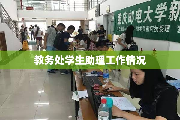 教务处学生助理工作情况(教学部助理)