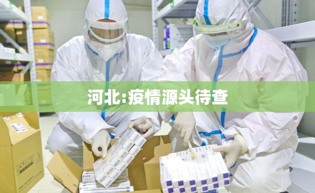 【河北:疫情源头待查,病例快速增长 河北疫情升级】 【河北:疫情源头待查,病例快速增长 河北疫情升级】