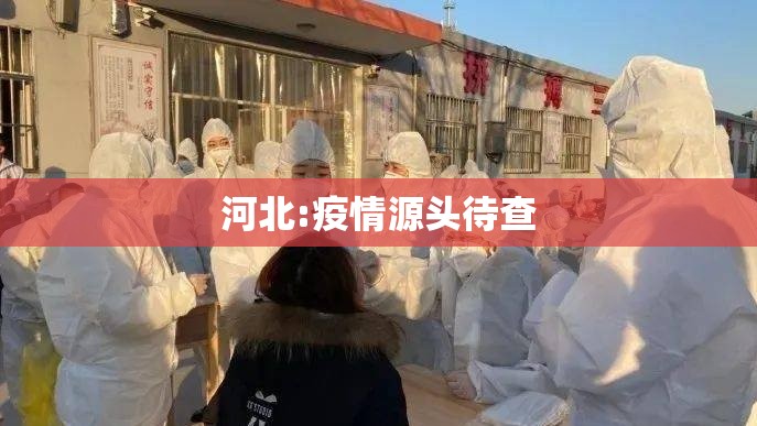 【河北:疫情源头待查,病例快速增长 河北疫情升级】 【河北:疫情源头待查,病例快速增长 河北疫情升级】