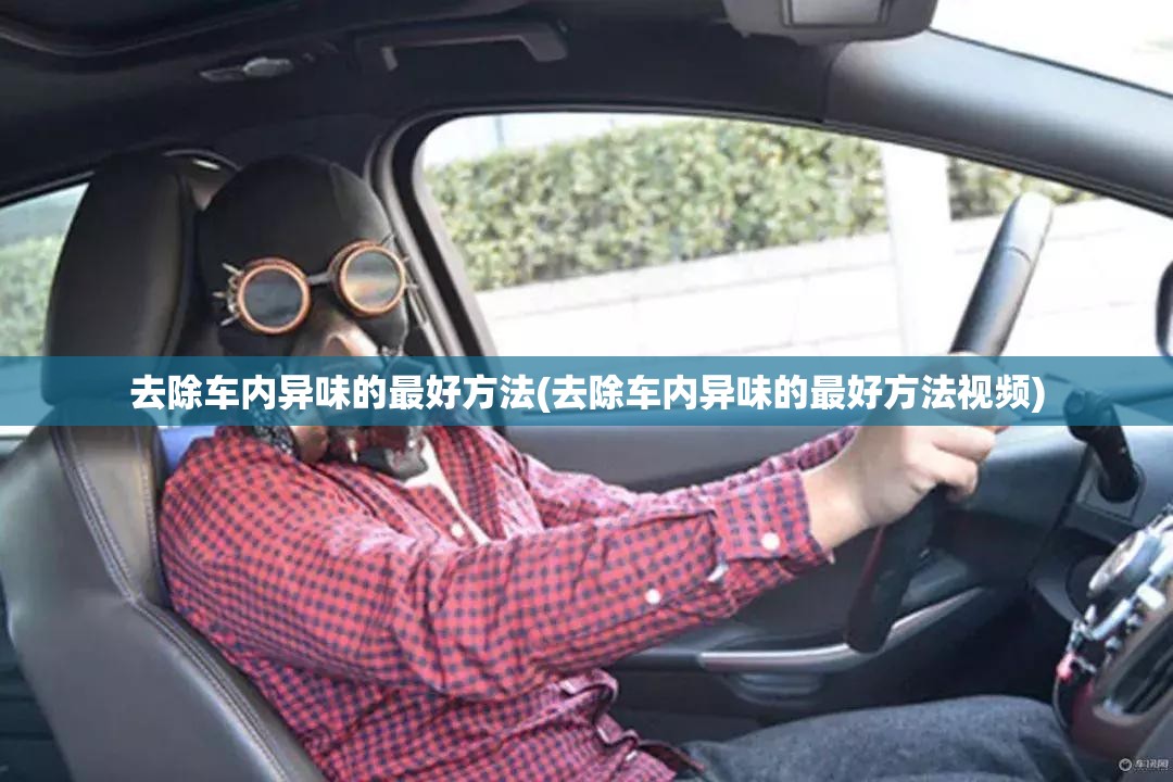 去除车内异味的最好方法(去除车内异味的最好方法视频)