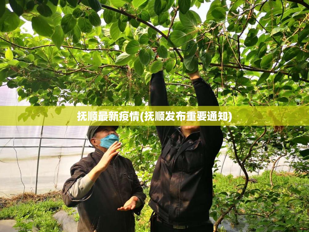 抚顺最新疫情(抚顺发布重要通知) 抚顺最新疫情(抚顺发布重要通知)