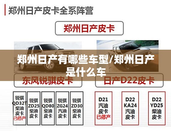郑州日产有哪些车型/郑州日产是什么车