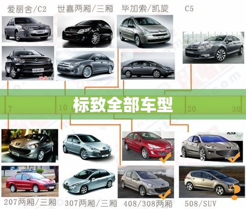 标致全部车型/标致全部车型及价格图片