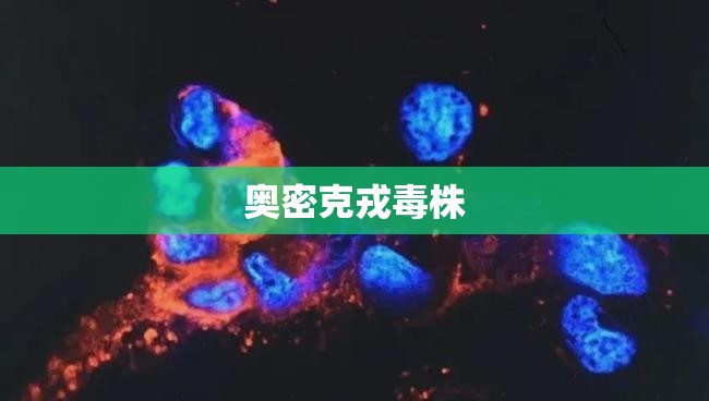 奥密克戎毒株(奥密克戎毒株出现)