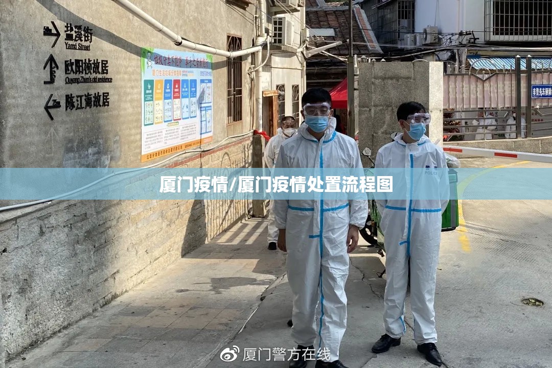 厦门疫情/厦门疫情处置流程图