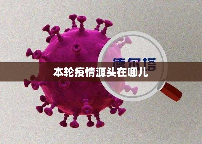 本轮疫情源头在哪儿(2026本轮疫情已波及7省份)