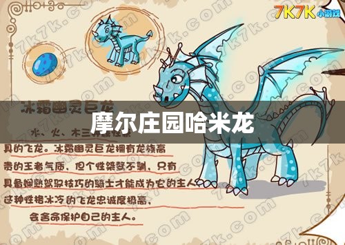 摩尔庄园哈米龙/摩尔庄园黑龙的诅咒