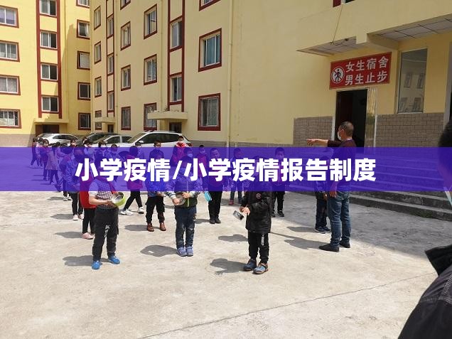 小学疫情/小学疫情报告制度 小学疫情/小学疫情报告制度