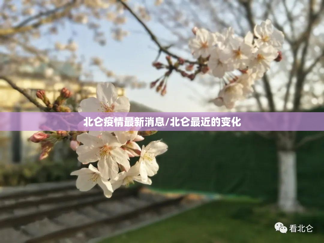 北仑疫情最新消息/北仑最近的变化