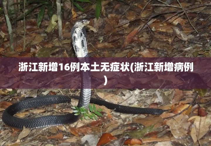 浙江新增16例本土无症状(浙江新增病例) 浙江新增16例本土无症状(浙江新增病例)