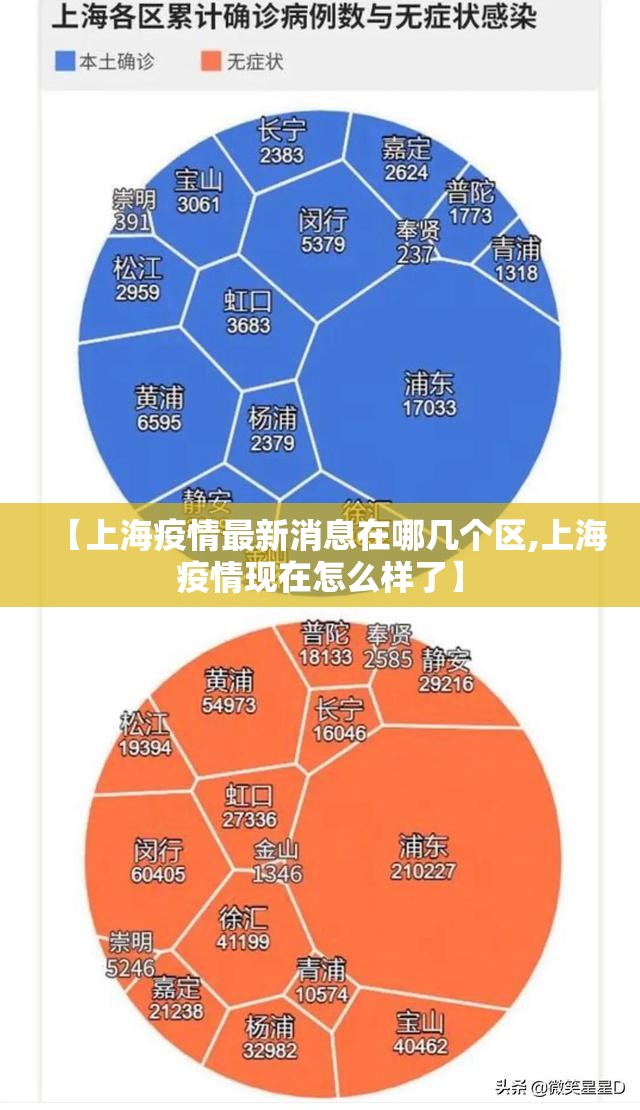 【上海疫情最新消息在哪几个区,上海疫情现在怎么样了】 【上海疫情最新消息在哪几个区,上海疫情现在怎么样了】