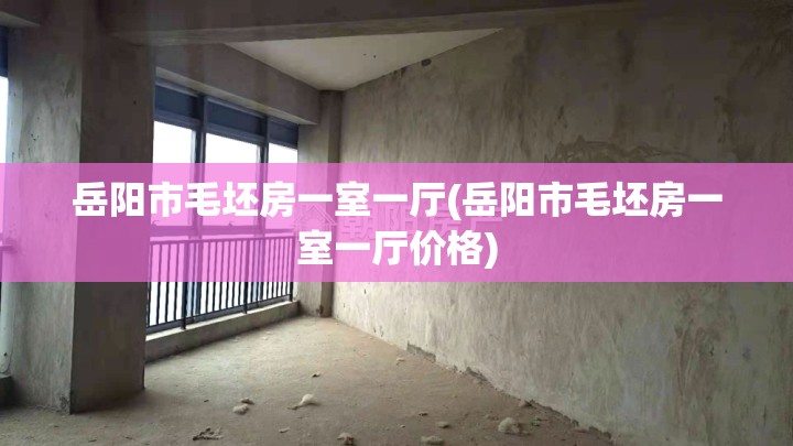 岳阳市毛坯房一室一厅(岳阳市毛坯房一室一厅价格)