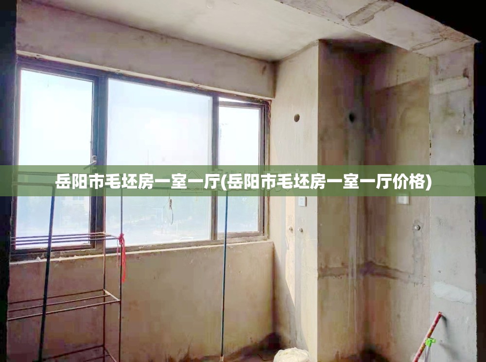 岳阳市毛坯房一室一厅(岳阳市毛坯房一室一厅价格)