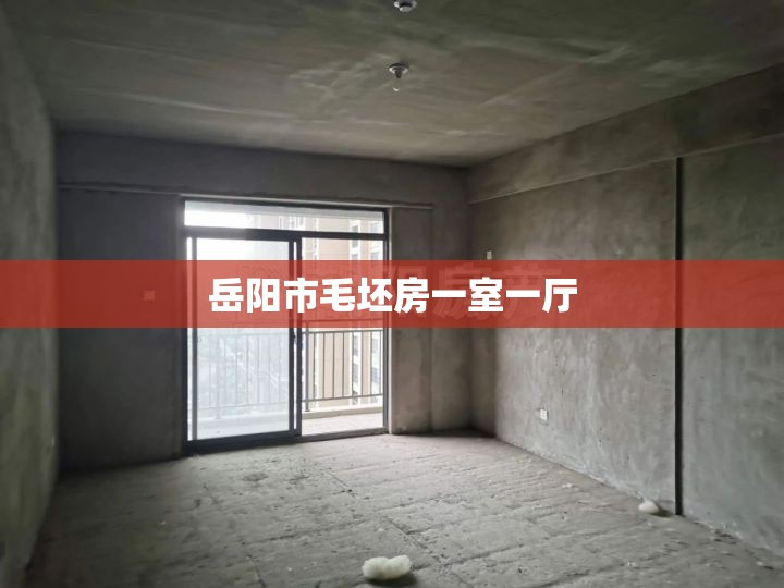 岳阳市毛坯房一室一厅(岳阳市毛坯房一室一厅价格)