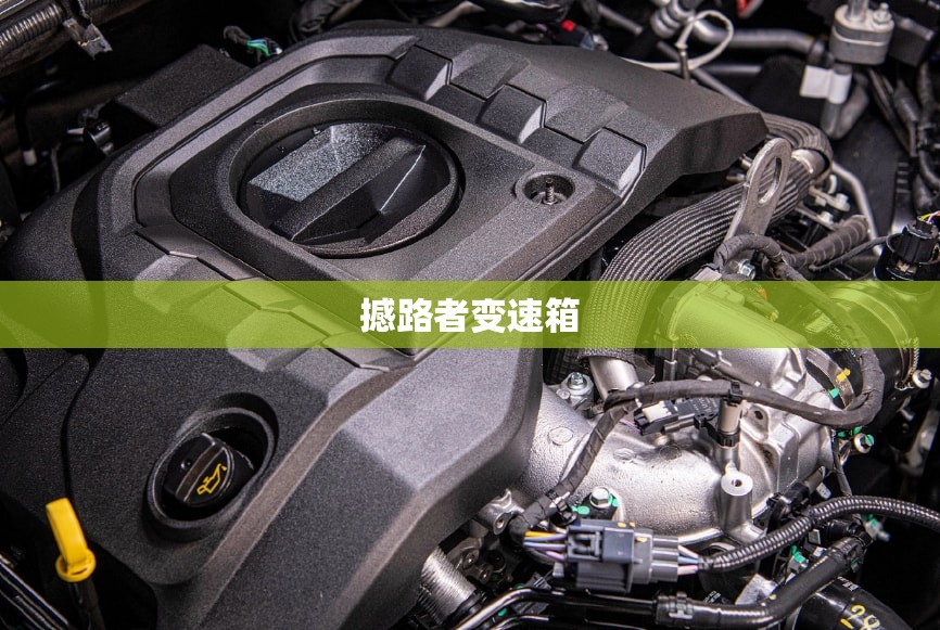撼路者变速箱/撼路者变速箱油终身不换吗