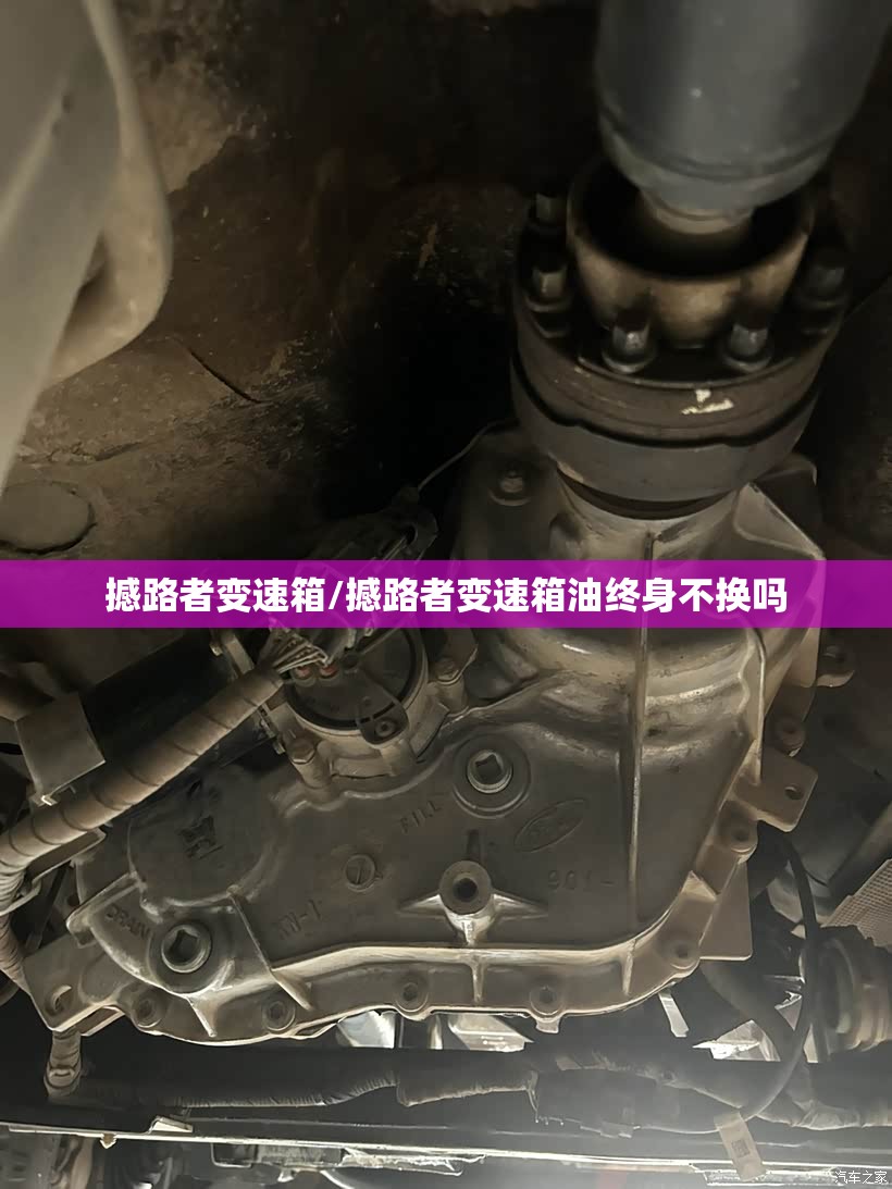 撼路者变速箱/撼路者变速箱油终身不换吗