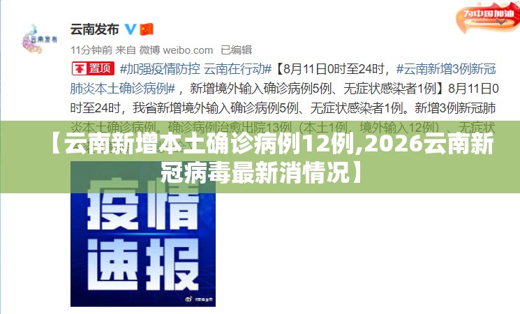 【云南新增本土确诊病例12例,2026云南新冠病毒最新消情况】