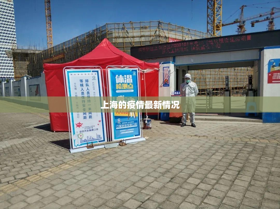 【上海的疫情最新情况,上海现在的疫情情况怎么样】 【上海的疫情最新情况,上海现在的疫情情况怎么样】