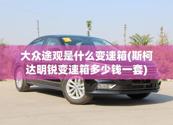 大众途观是什么变速箱(斯柯达明锐变速箱多少钱一套)