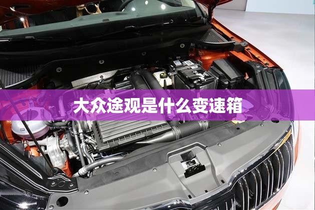 大众途观是什么变速箱(斯柯达明锐变速箱多少钱一套)