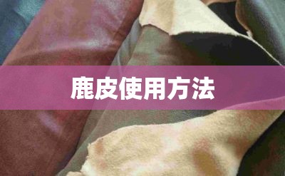 微波炉按键使用方法/微波炉按键使用方法图解