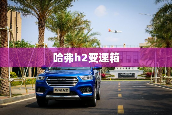 哈弗h2变速箱(哈弗h2变速箱油)