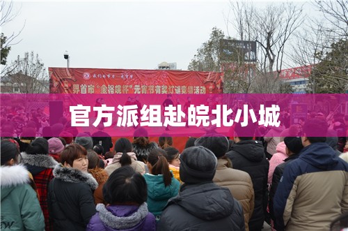 【官方派组赴皖北小城,皖北小保队】