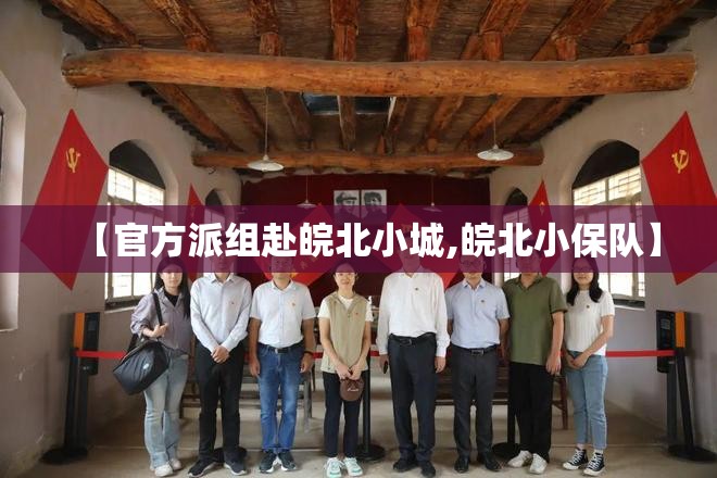 【官方派组赴皖北小城,皖北小保队】